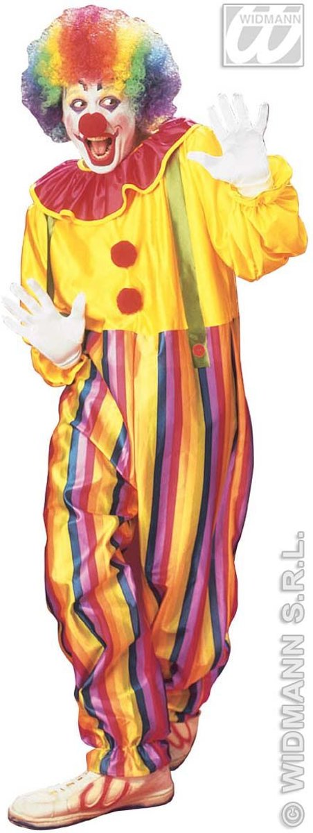 Clown & Nar Kostuum | Funny Clown Circus Kostuum Man | Small | Carnaval kostuum | Verkleedkleding